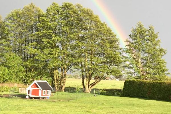  Am Eichberg Wieck - Garten