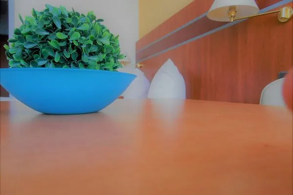 Dekoratives Detail Haus Vier Jahreszeiten am See HS 581