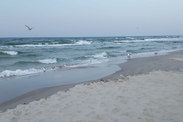  App. Auerhahn im "Schmugglerhus" Wieck - Strand