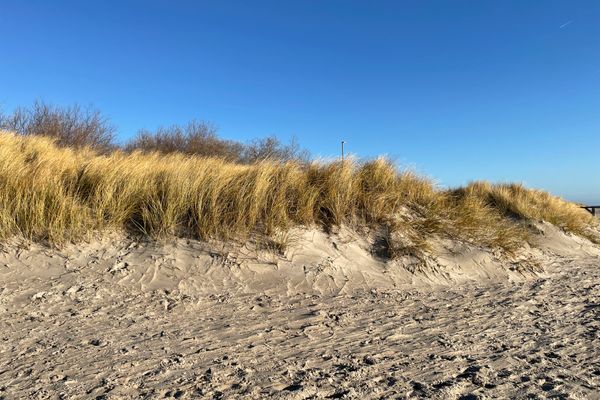 Haus Uthlande Uthlande Whg. 04 Strandgut Föhr  Die Grüne Insel - 