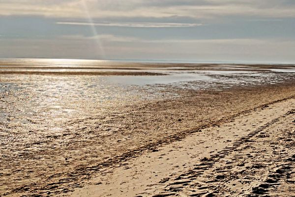  Habel Whg. 09 Deichkieker Föhr  Die Grüne Insel - 