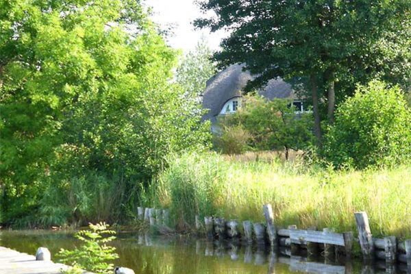 Boddenparadies - Baltija Wieck - Landschaft