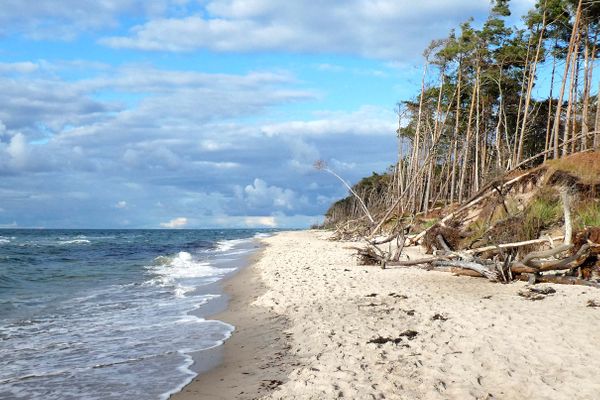 Boddenparadies - Baltija Wieck - Strand