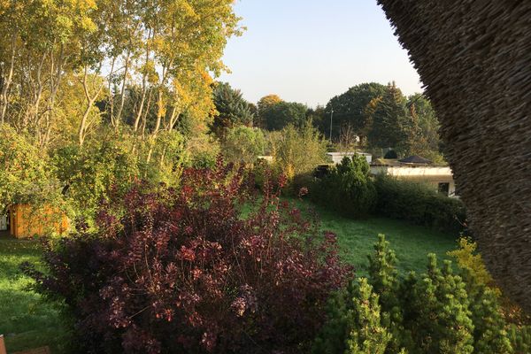  Ferienwohnung zur Brake Wieck - Gartenblick
