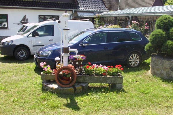  Koje Born - Dekoratives Detail