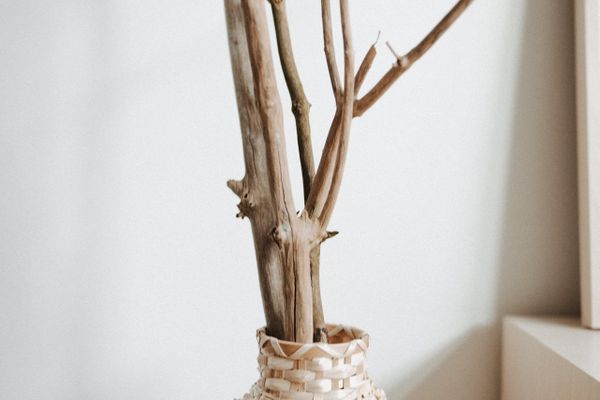 Villa Fresena Bude 2 Norderney-Stadt - Dekoratives Detail