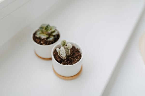 Villa Fresena Bude 9 Norderney-Stadt - Dekoratives Detail