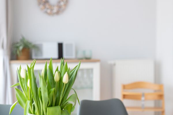 Norderneyer Sonnendecks Sonnendeck 14 Norderney-Stadt - Dekoratives Detail