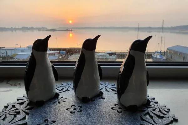 Dekoratives Detail  Ferienwohnung Schleiloge mit Panoramablick auf die Schlei