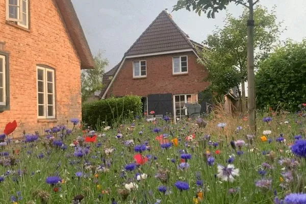 Dorf Domizil Ferienhaus Dorfremise SPO Dorf - 