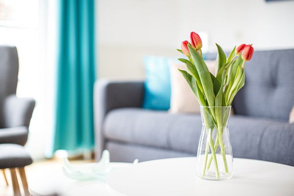 Meersburg Meeresburg Föhr  Die Grüne Insel - 