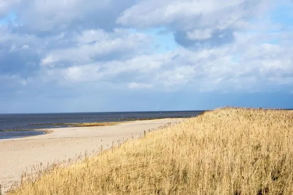 Haus am Sahlenburger Strand FeWo 4 Sahlenburg - 