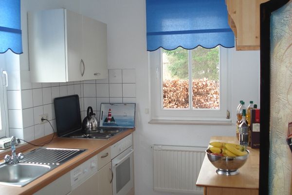 Boddenparadies - Wildbiene Wieck - 