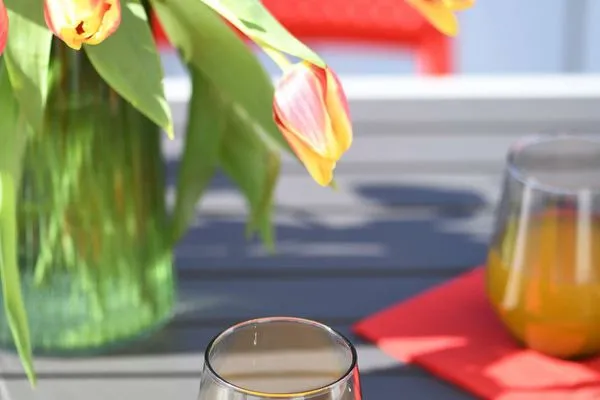 Balkon Haus am Dorfbrunnen Ferienwohnung Sand