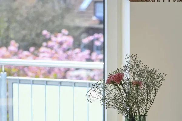 Blick ins Grüne Haus am Dorfbrunnen Ferienwohnung Düne