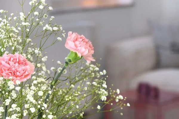 Dekoratives Detail Haus am Dorfbrunnen Ferienwohnung Düne