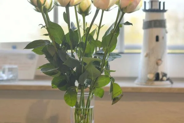 Dekoratives Detail Haus Fregatte Ferienwohnung 1