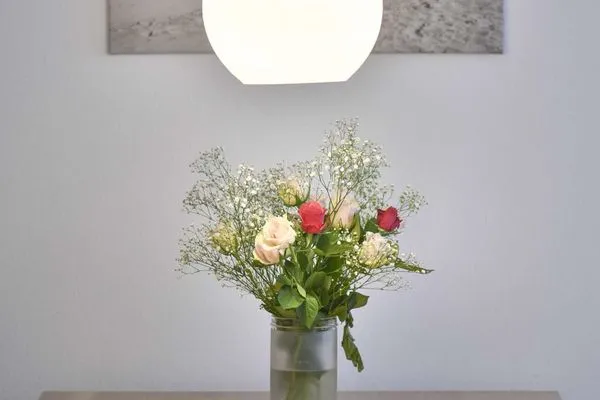 Dekoratives Detail Haus Oldenburg Ferienwohnung 6