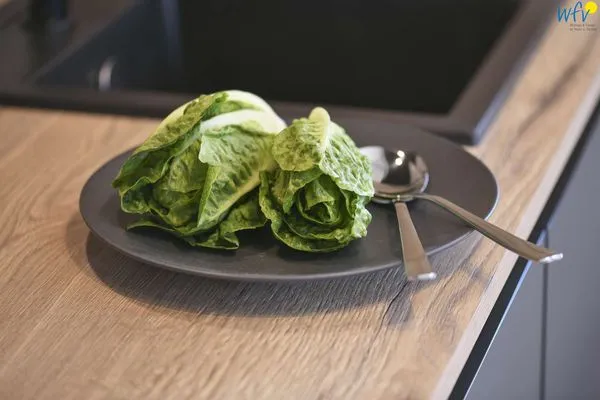 Küche / Küchenzeile Haus am Dorfbrunnen Ferienwohnung Möwe