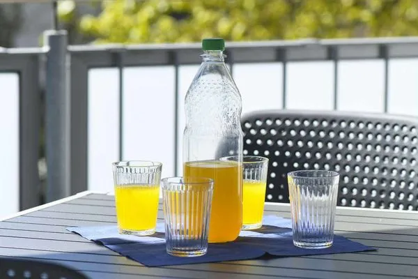 Balkon Haus am Dorfbrunnen Ferienwohnung Möwe