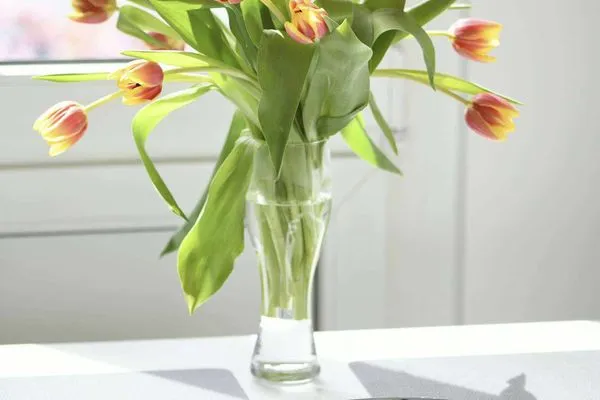 Dekoratives Detail Meerhus Ferienwohnung 4