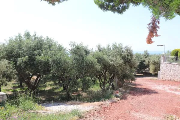 Way to the beach  Sofia-Maria