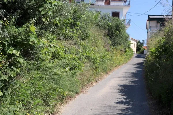 Access road  Sofia-Maria