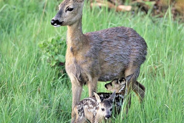 Wohnanlage "Am Grün" Sonnenblick Wittenbeck - 