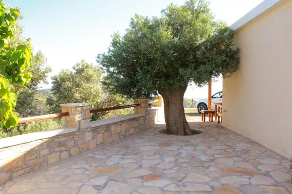 Terrace  Petra Mare Babis