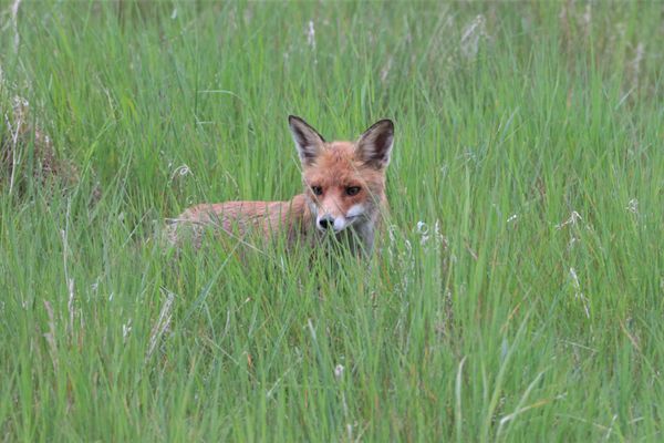 Wohnanlage "Am Grün" Sonnenblick Wittenbeck - 