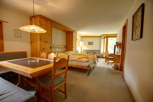 Chesa Munteratsch 2-Zimmmerwohnung 205 Typ E Silvaplana - Living room