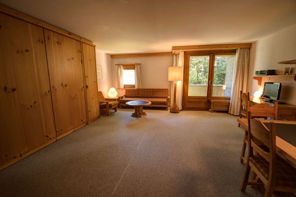Chesa Munteratsch 1-Zimmerwohnung 206 Typ B Silvaplana - Living room
