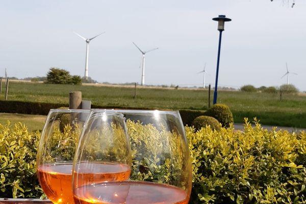  Ferienhaus große Krabbe Neuharlingersiel - 