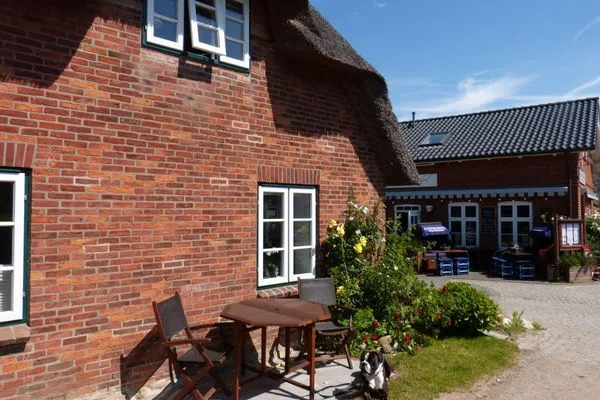 Terrasse der Ferienwohnung Green Waanang in Nebel auf Amrum Hüs Letj Warft Ferienwohnung „Green Waanang"