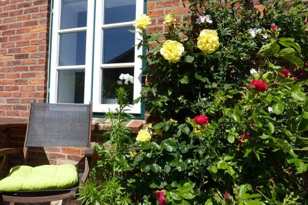 Terrasse der Ferienwohnung Green Waanang in Nebel auf Amrum Hüs Letj Warft Ferienwohnung „Green Waanang"