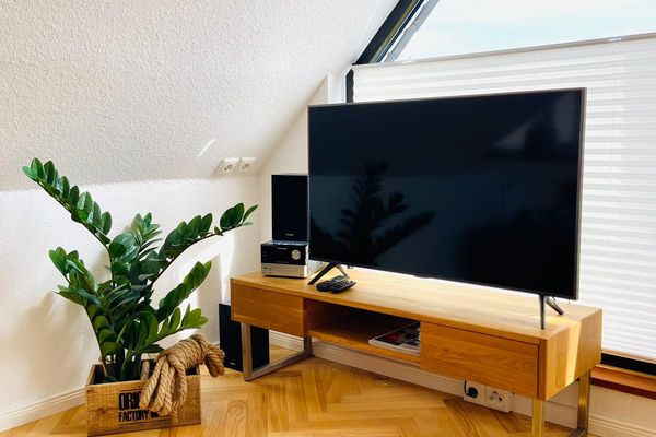 Dünenhaus Ferienwohnung - De Düün Fiev Wangerooge - Was wollen wir schauen? Nachrichten oder Actionthriller?