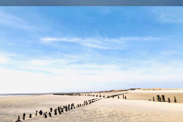 Dünenhaus Ferienwohnung - De Düün Dree Wangerooge - Weitblick am alten Ostanleger.