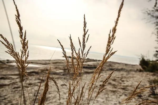 Strand Strandpark Sierksdorf H081