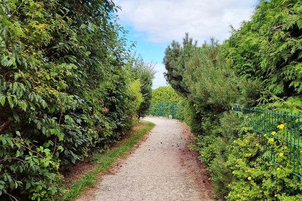  Meerklang Kühlungsborn - Strand