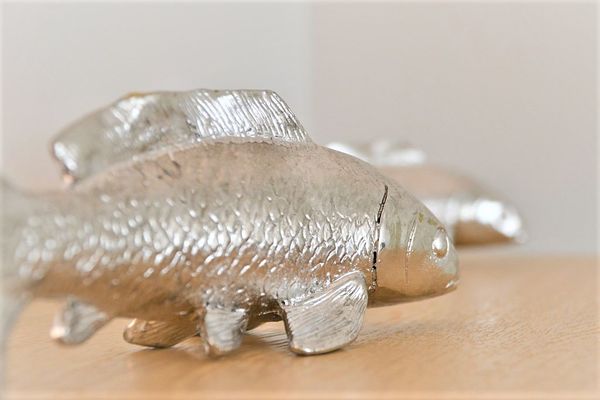 Villa Vivaldi Ferienwohnung 3 Wangerooge - 