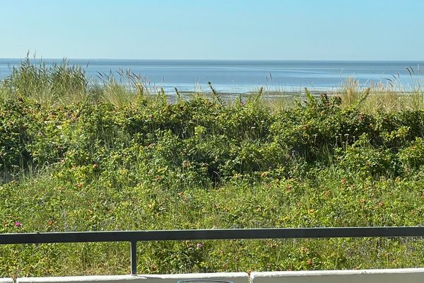  Habel Whg. 09 Deichkieker Föhr  Die Grüne Insel - 