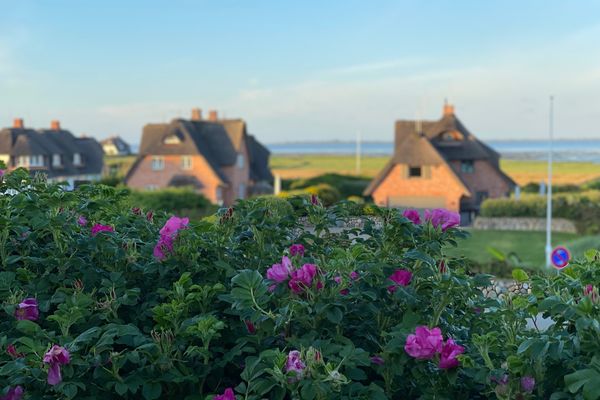 Wattblick App.6 Rantum - 