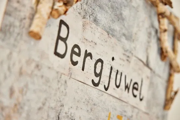 Decorative detail  BergJuwel