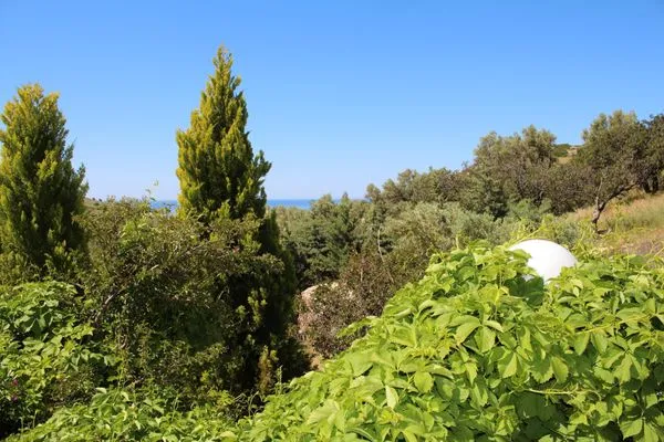 Landschaft  Blue Stone