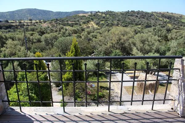 Gartenblick  Blue Stone