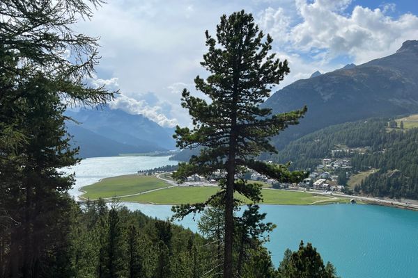 Chesa Munteratsch 2-Zimmerwohnung 301 Typ E Silvaplana - 