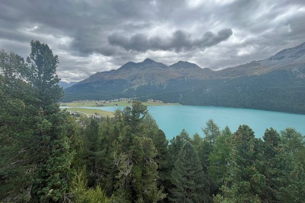 Chesa Munteratsch 2-Zimmerwohnung 301 Typ E Silvaplana - 