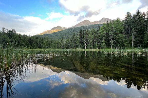 Chesa Munteratsch 2-Zimmerwohnung 301 Typ E Silvaplana - 