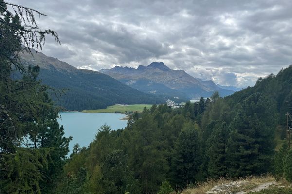 Chesa Munteratsch 2-Zimmerwohnung 301 Typ E Silvaplana - 