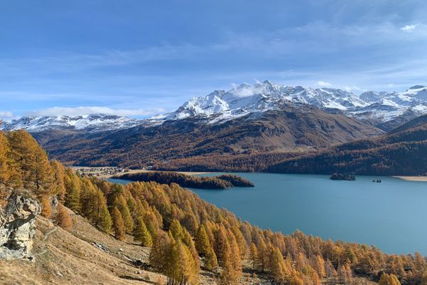 Chesa Munteratsch 2-Zimmerwohnung 301 Typ E Silvaplana - 
